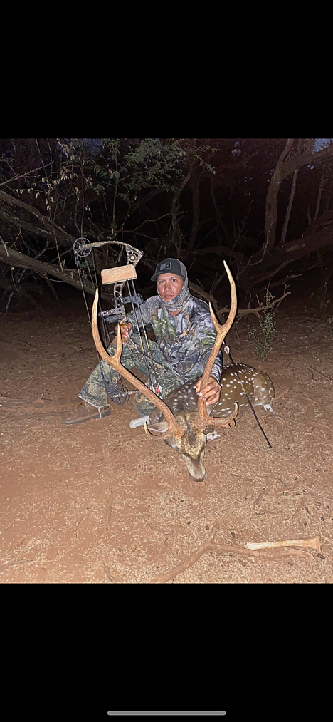 bow hunt axis deer molokai